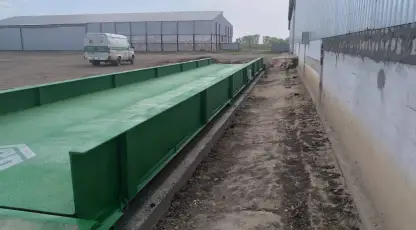 Васильцов
