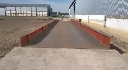 Васильцов