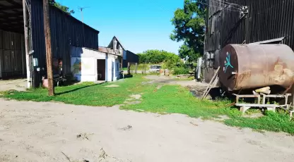 Заря