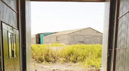 Колос Волгоград