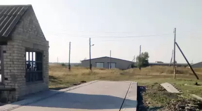 Плотников