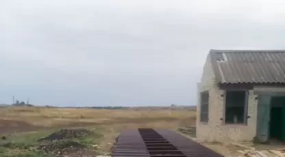 Плотников