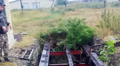 Плотников