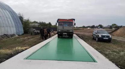 Богомолов